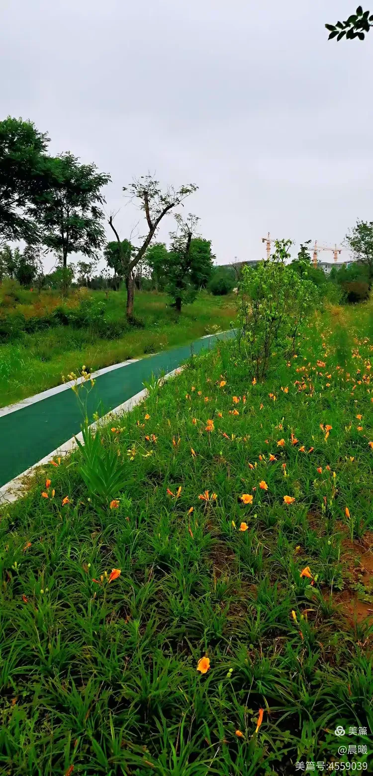 荥阳恒大养生谷